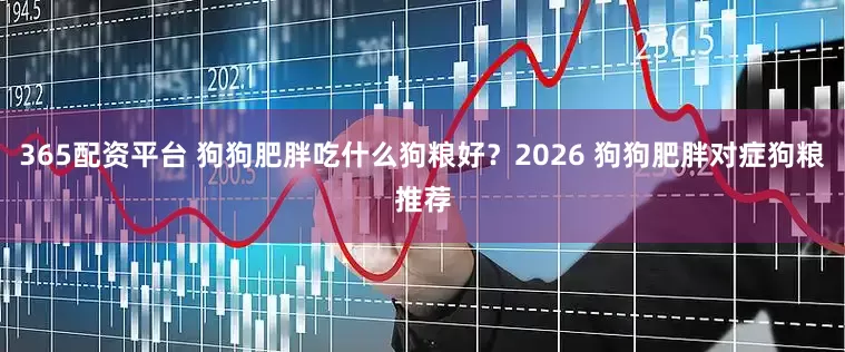365配资平台 狗狗肥胖吃什么狗粮好？2026 狗狗肥胖对症狗粮推荐